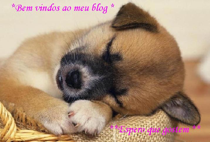 *** cãesinhos ***