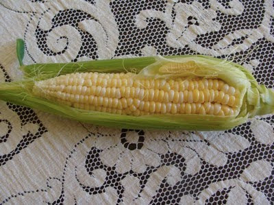Baby Corn Growing
