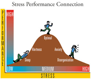 visione dello stress performance