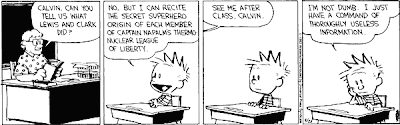 Calvin and Hobbes - I am not dumb