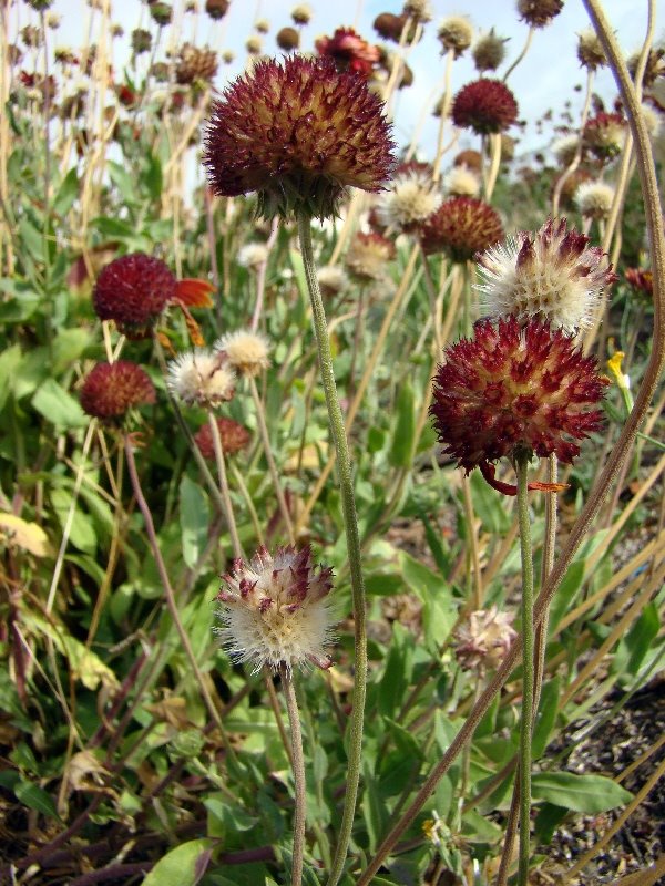 [2008-09-06+009a.jpg]