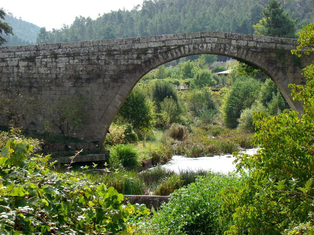 [2009-10-02+a+05+531+(Large).jpg]