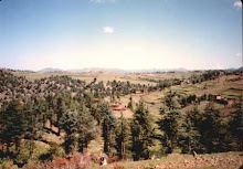 A View from the Hill