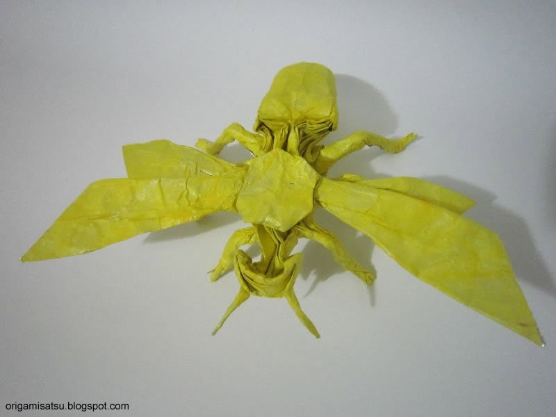 satoshi kamiya wasp