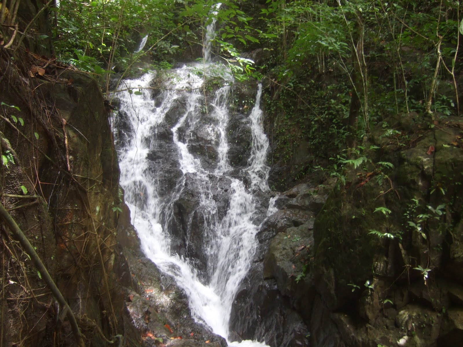 Riviera Zeit Januar Februar 2018 By Riviera Press Issuu