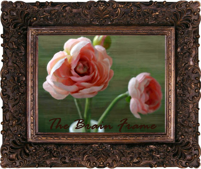 The Brain Frame