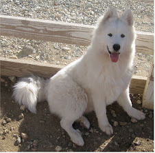 Samson