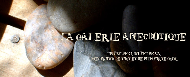 La Galerie Anecdotique