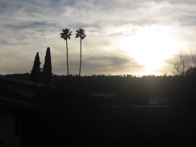 [IMG_3096.JPG]