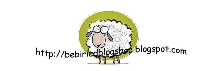 BEBIRI COMEL DIAPER SHOP