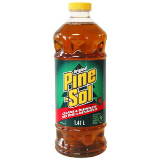 Smell Taste The Time I Drank Pine Sol