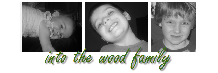 into the wood family