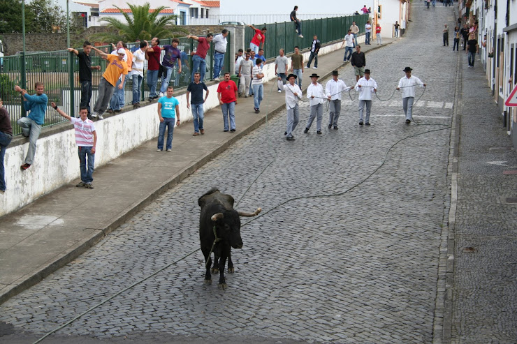 Touro... Foge enquanto podes!!!