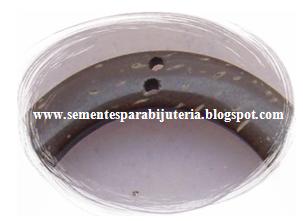 [Côco+-+argolas+furos.JPG]