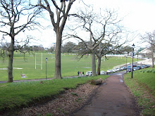The Domain Park