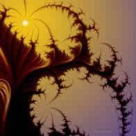 غرائب عجائب النباتات ربيع الخير