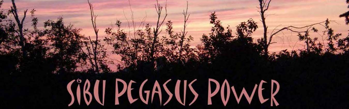 Sibu Pegasus Power