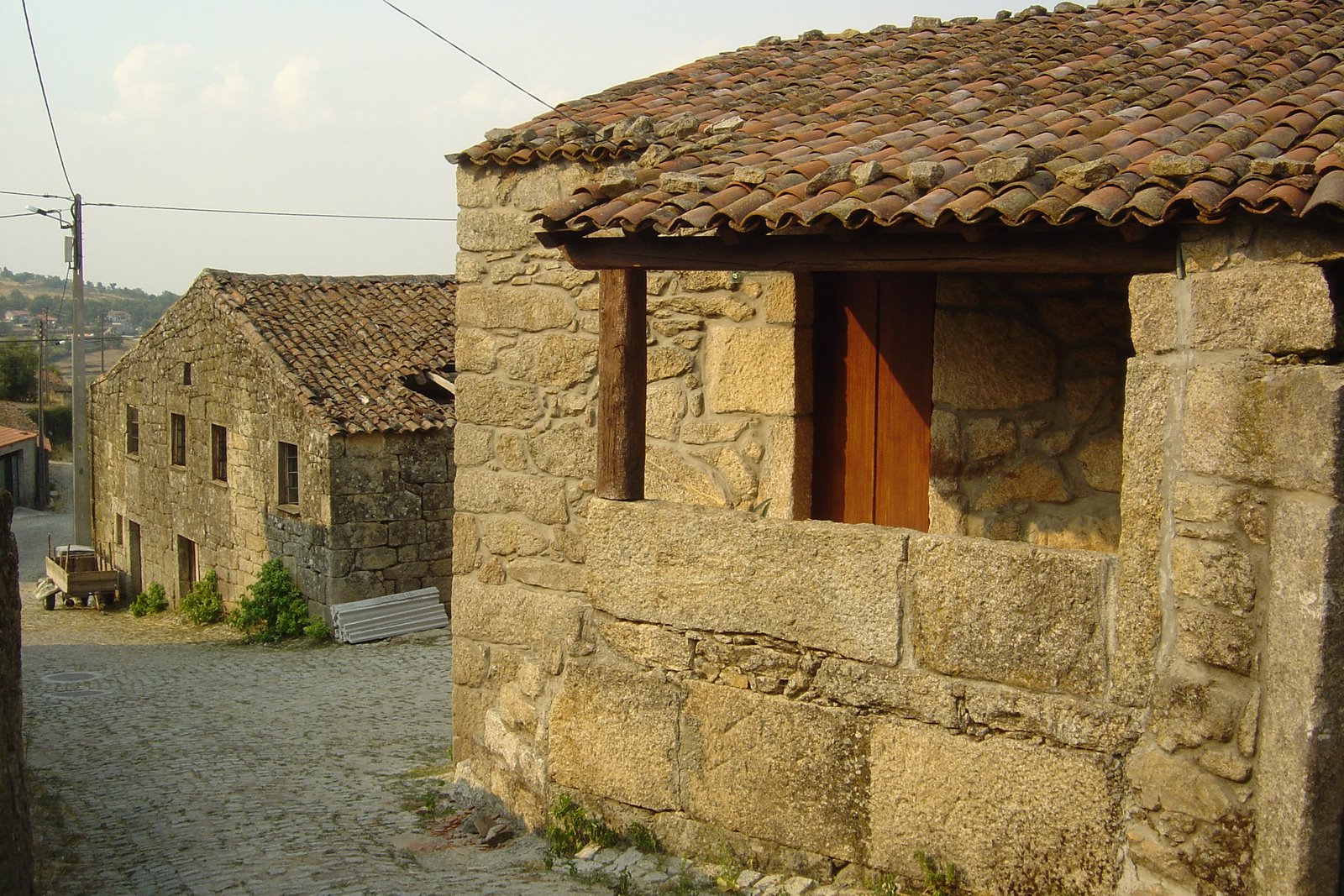 [Picture+013.jpg]