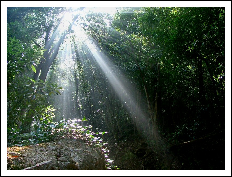 [0aintra-dedicatoria.jpg]