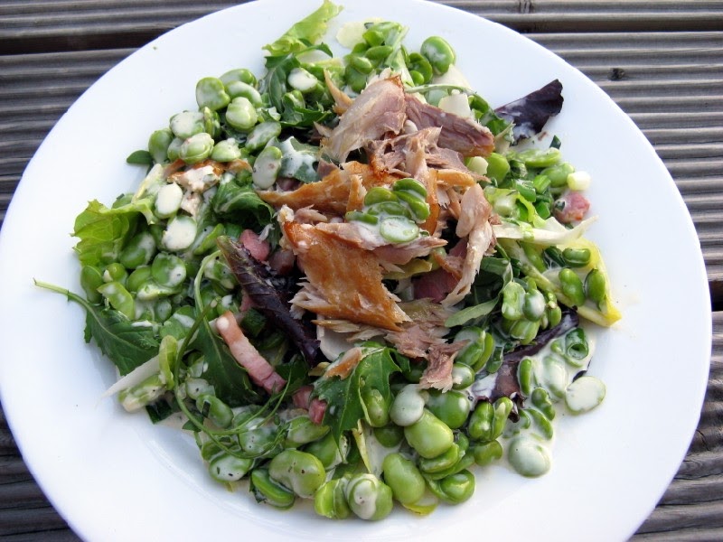 Hollow Legs Smoked Mackerel & Broad Bean Salad