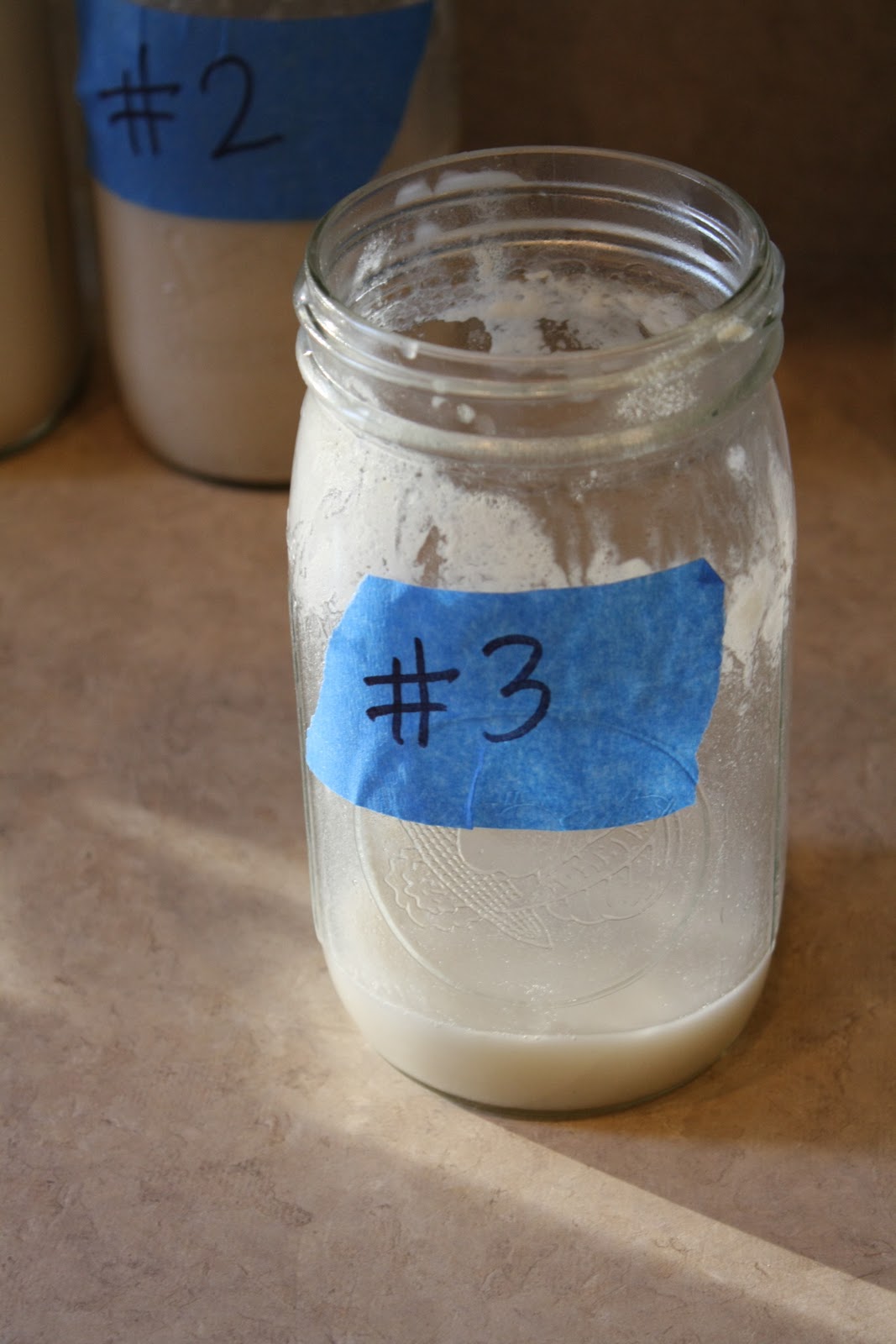 Milk Allergy Companion Homemade Rice Milk Recipe