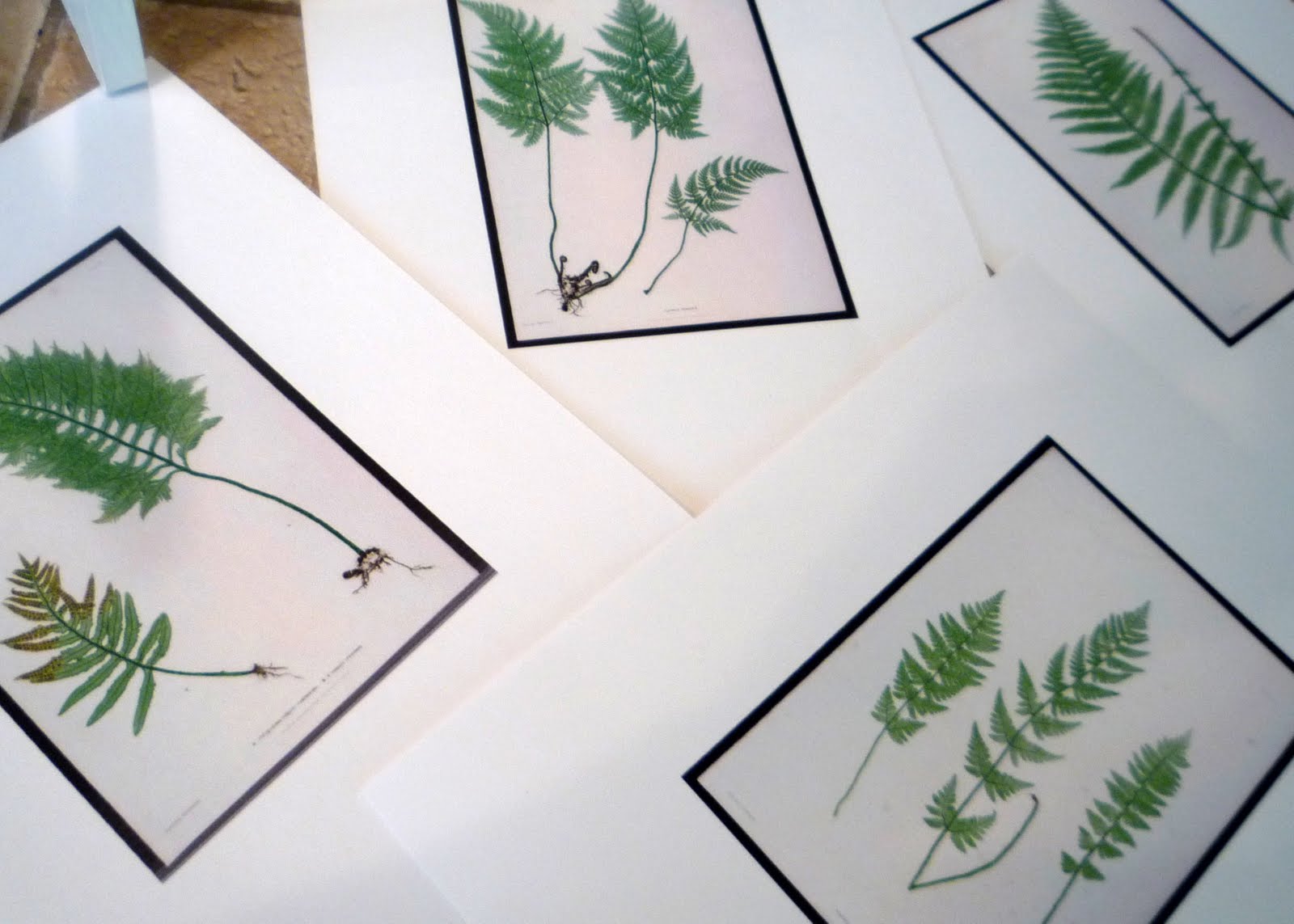 Crafty Sisters Hinged Frames