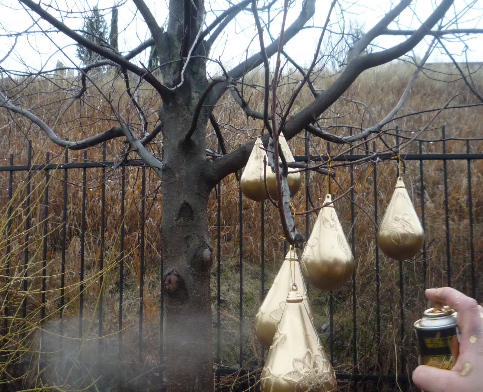 [P1020168_edited-1.JPG]