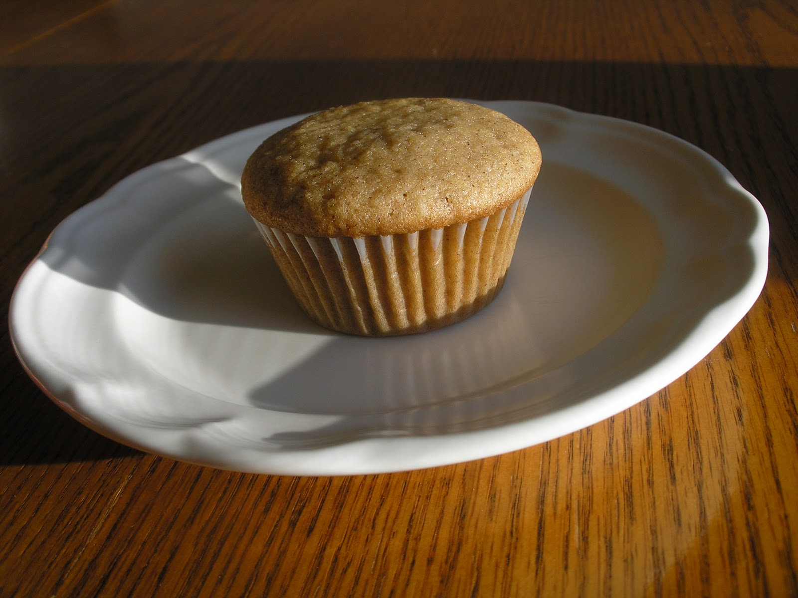 Amish Friendship Bread And Being An Outcast Part Ii My
