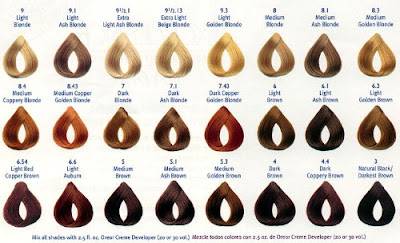 Hair Color Chart Hair Color Chart