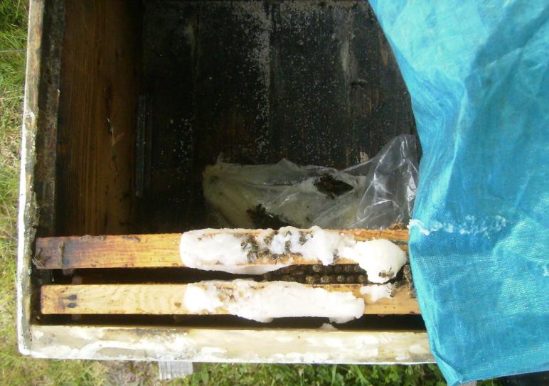 [19mayis2009013.JPG]