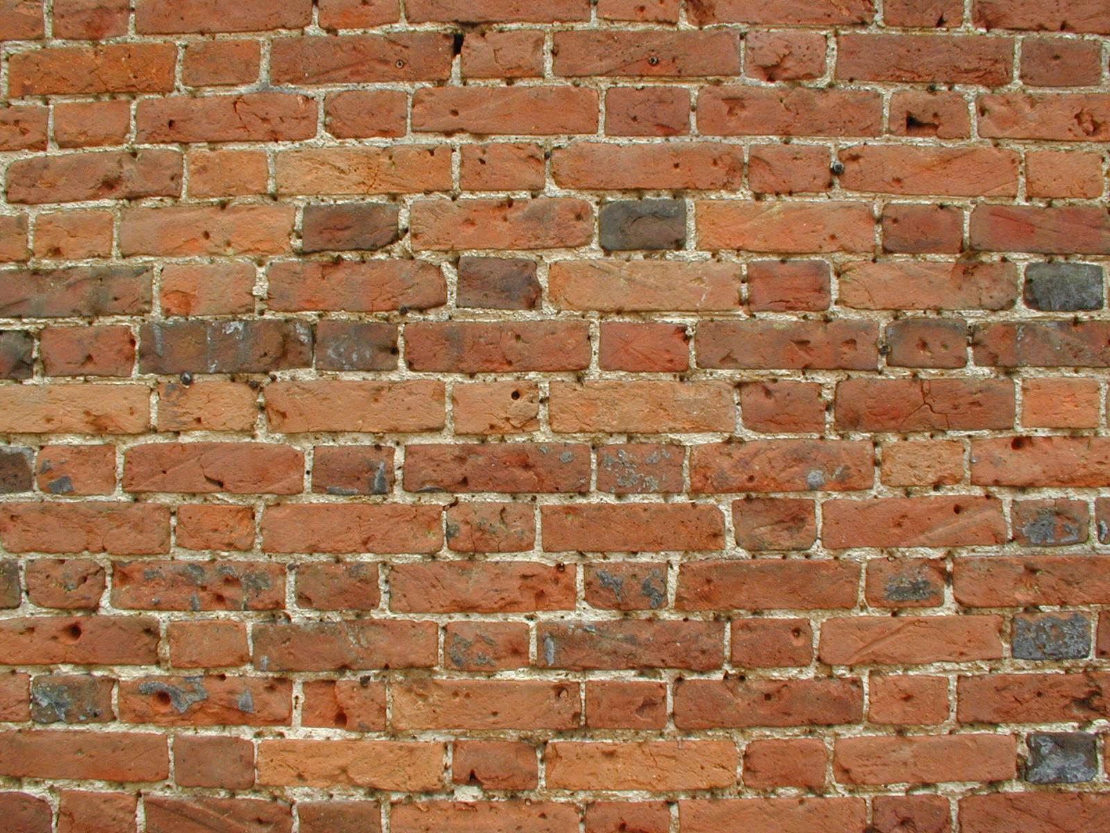 cest la vie walls bricks wall