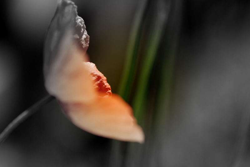 une etoile brille sur le jour de notre rencontre