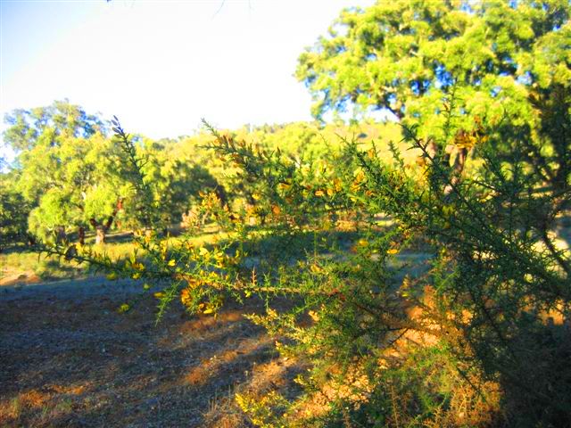 [15+IMG_4842.JPG]