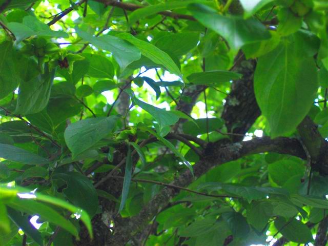 [UDM+IMG_5747.JPG]