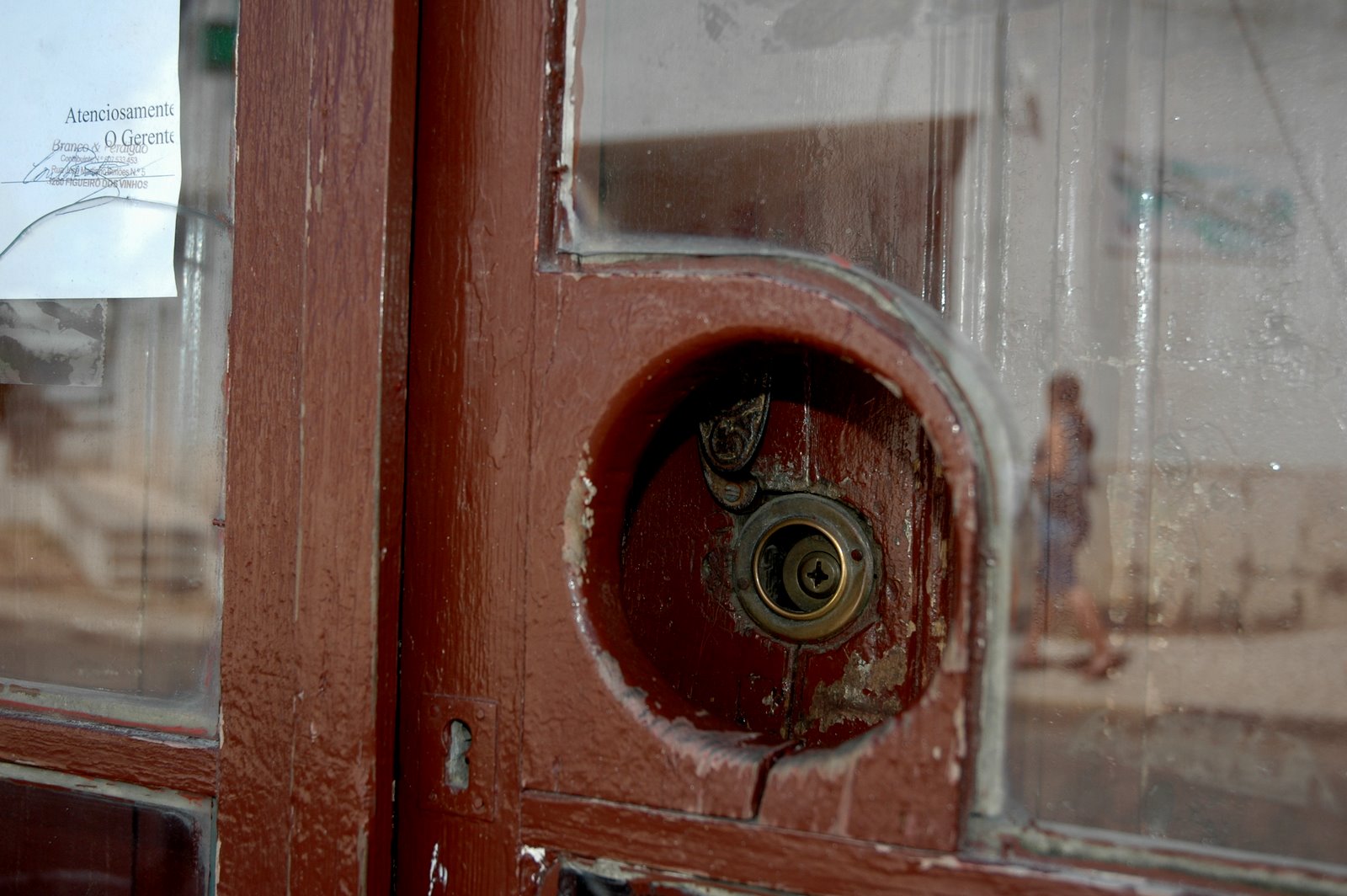 [DSC_6295.JPG]