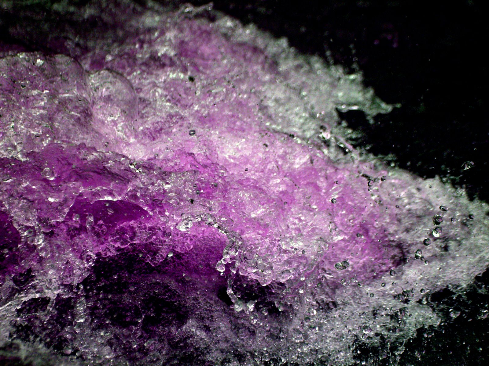 [SPLASH-Violet-Non-Colorized.jpg]