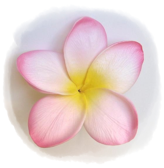 Artificial Wedding Flowers and Bouquets Australia Frangipani Special