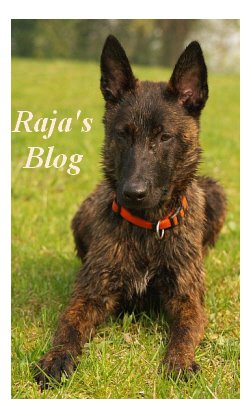 Raja's Blog