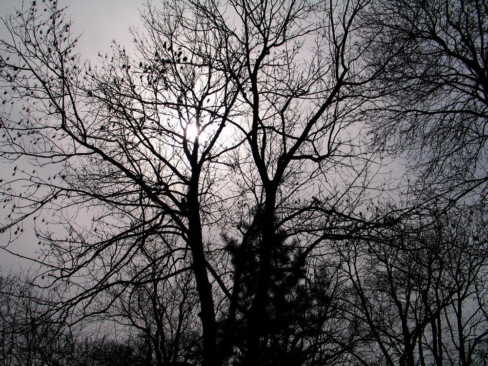 [IMG_0214.JPG]