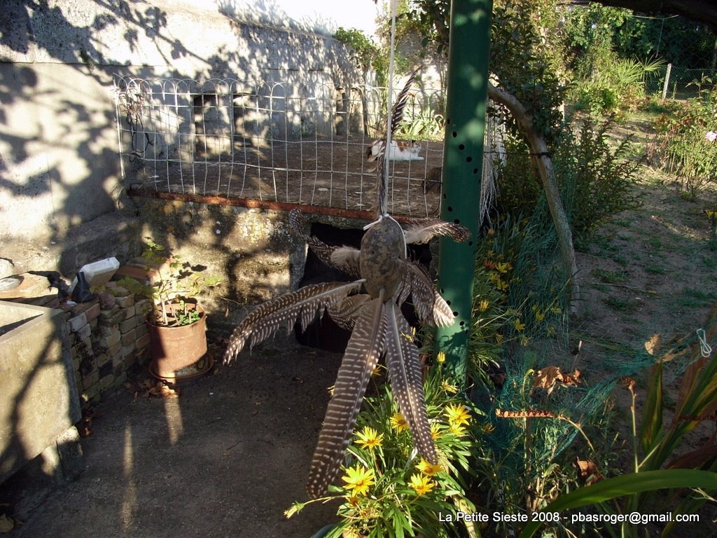 [R0016465.JPG]