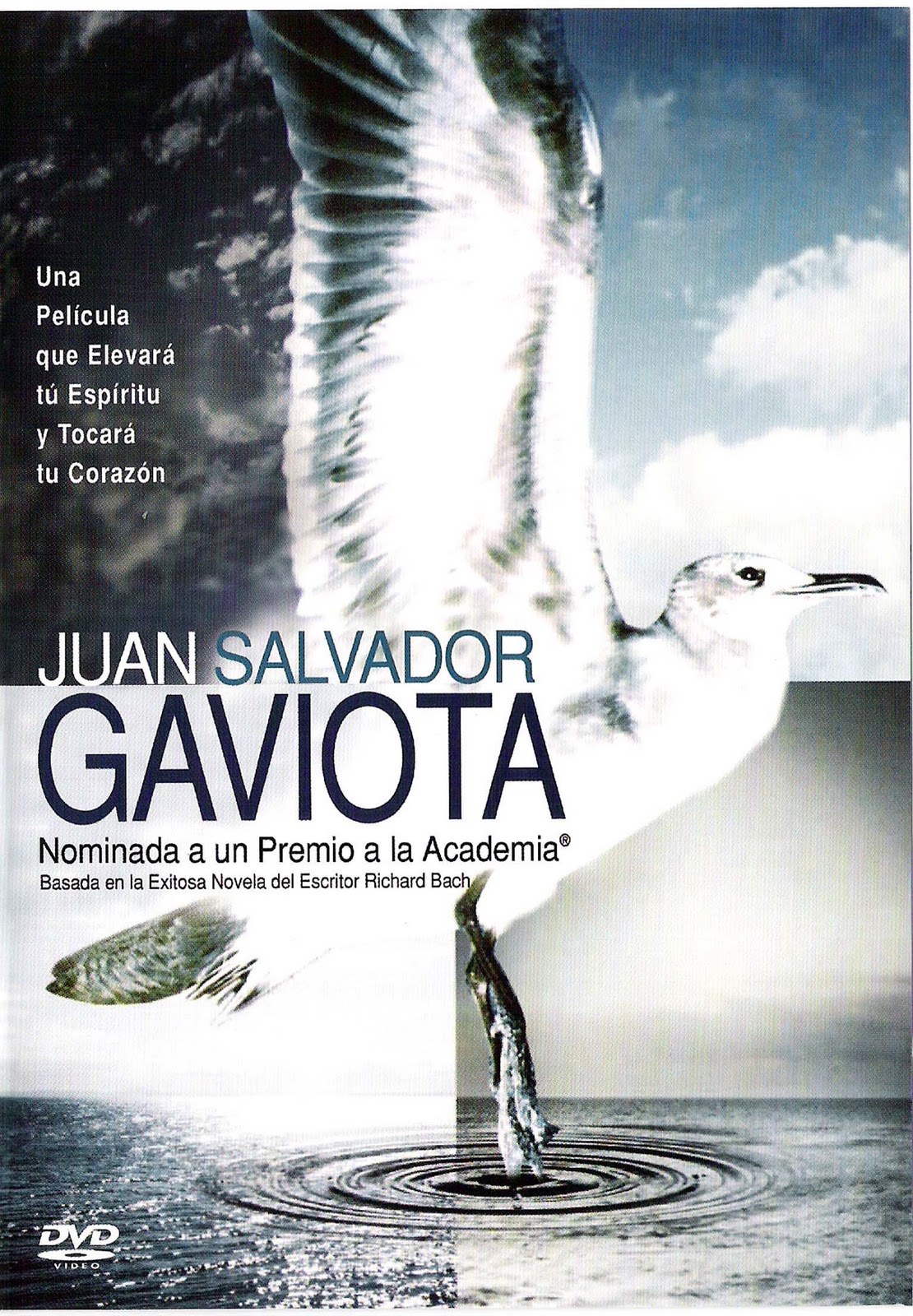 JUAN SALVADOR GAVIOTA POR NEIL DIAMOND juan salvador gaviota por neil diamond: