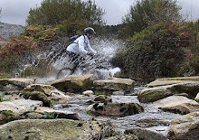 Serra da Freita