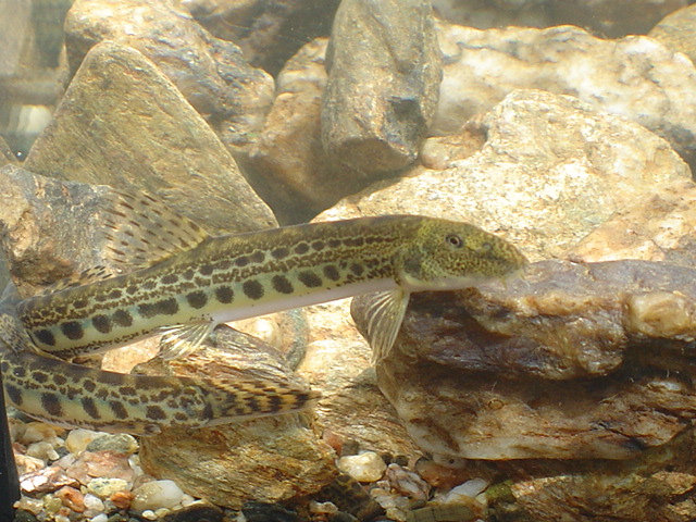 [DSC01213.JPG]