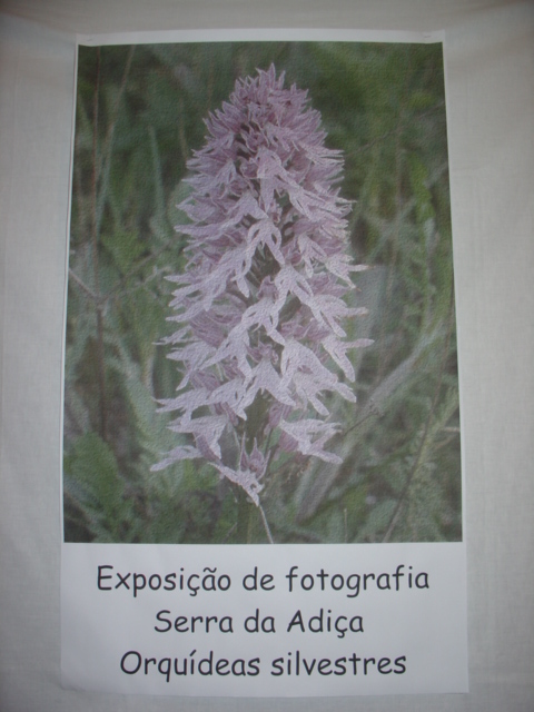 [DSC01512.JPG]