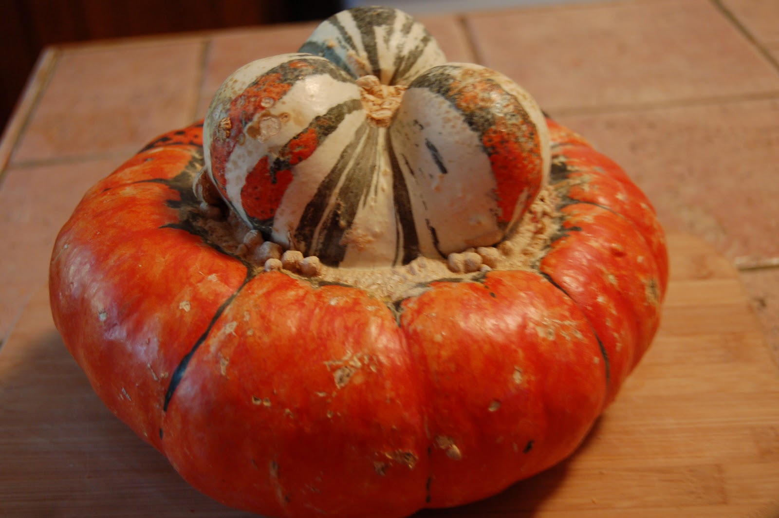 turban squash