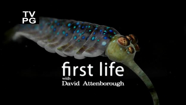 Subtitles For How the Universe Works