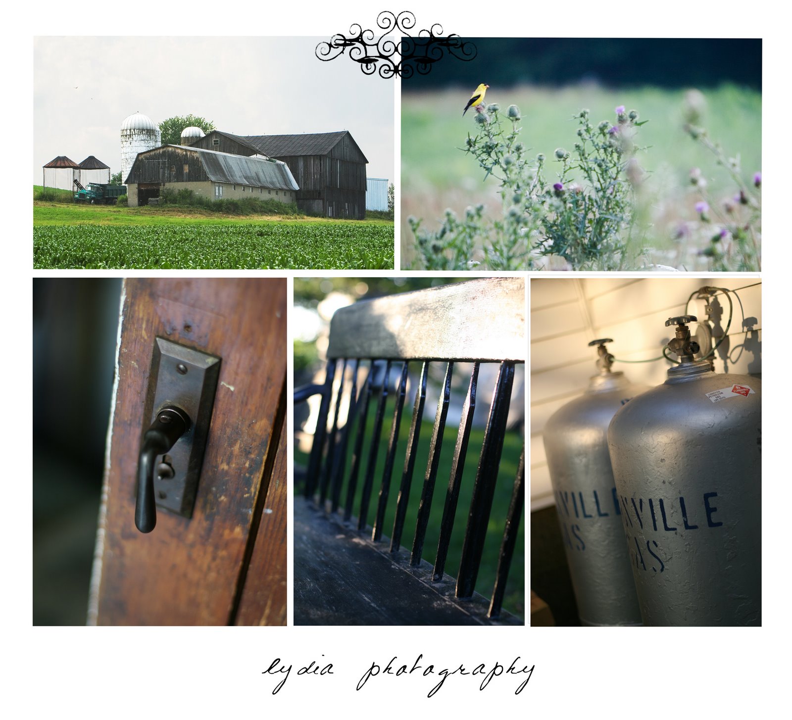 [PaCollage5-blog.jpg]