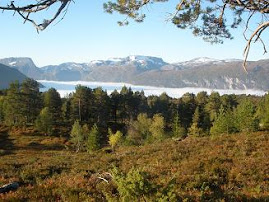 Utsikt frå hytta ein haustdag