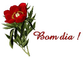 [rosa.bmp]