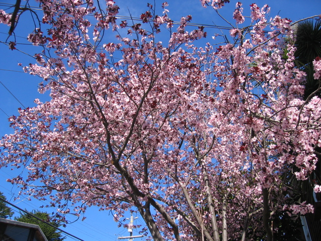 [IMG_2850.JPG]